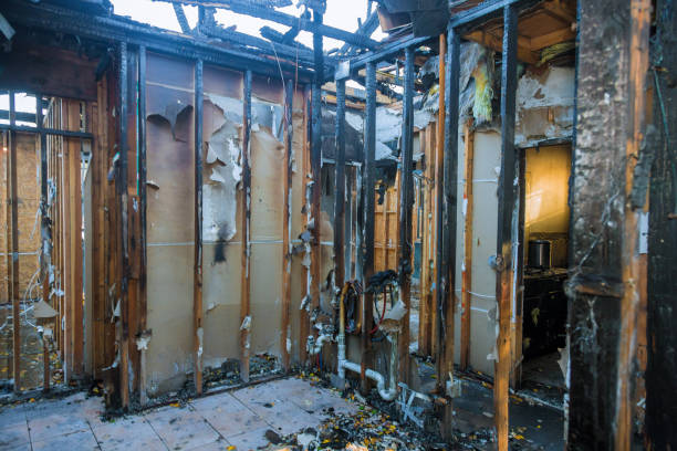 Professional Smoke Damage Removal technician working in Weston Mills, NY